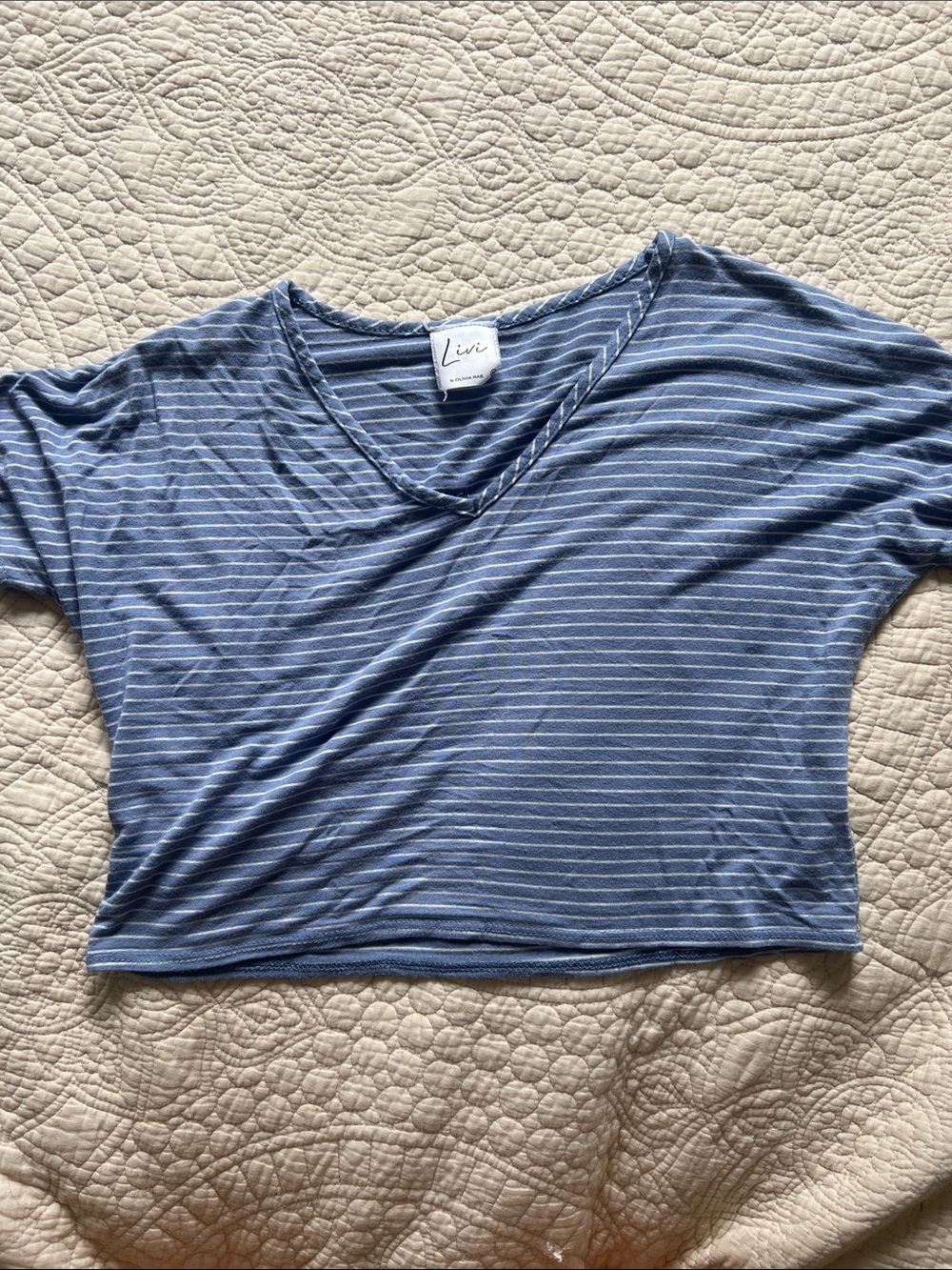 Olivia Rae Light Blue and White Striped V-Neck Crop Top